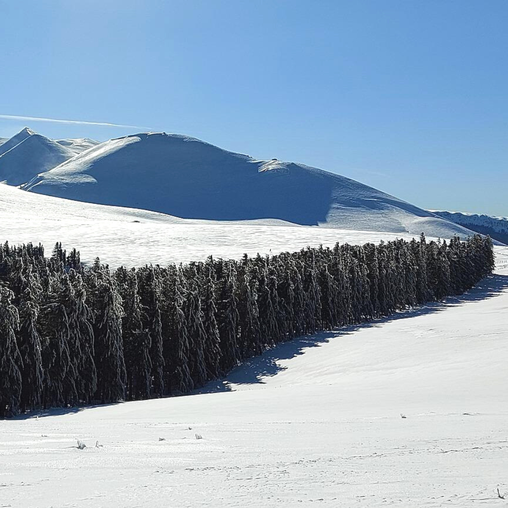 Randonnée en raquette dans le massif central