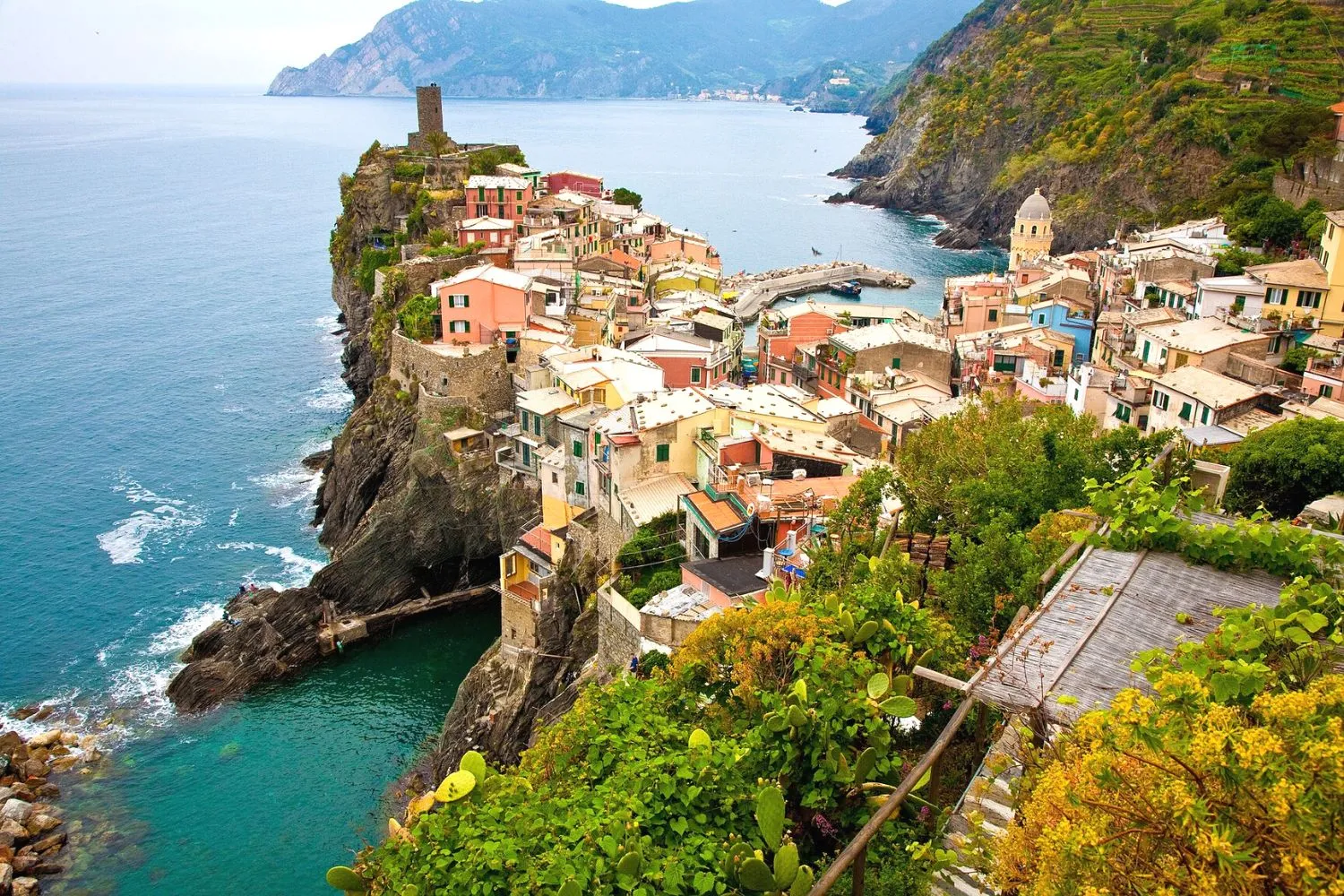 visiter les cinque terre avec la vie sauvage