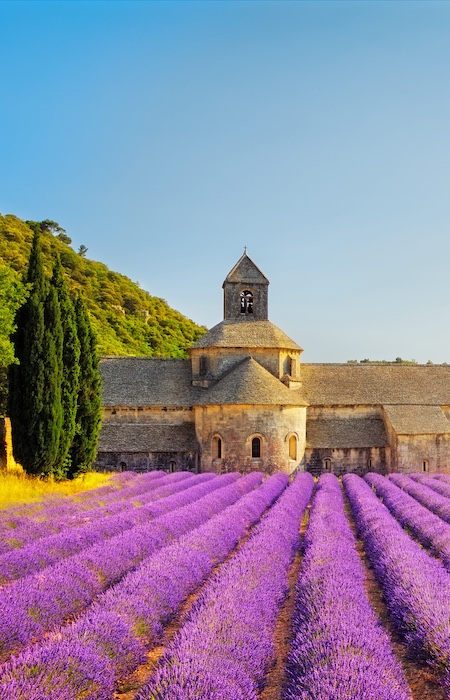 Provence