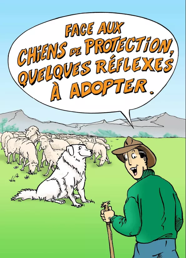 chien de protection randonnée
