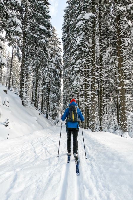 Ski de fond