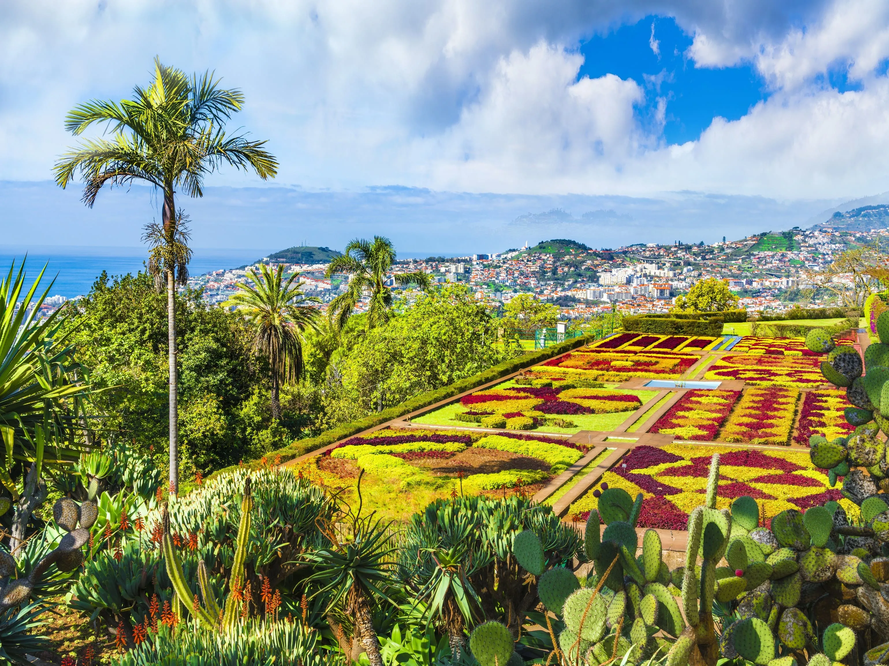 Jardin tropical de Monte Palace à Madère