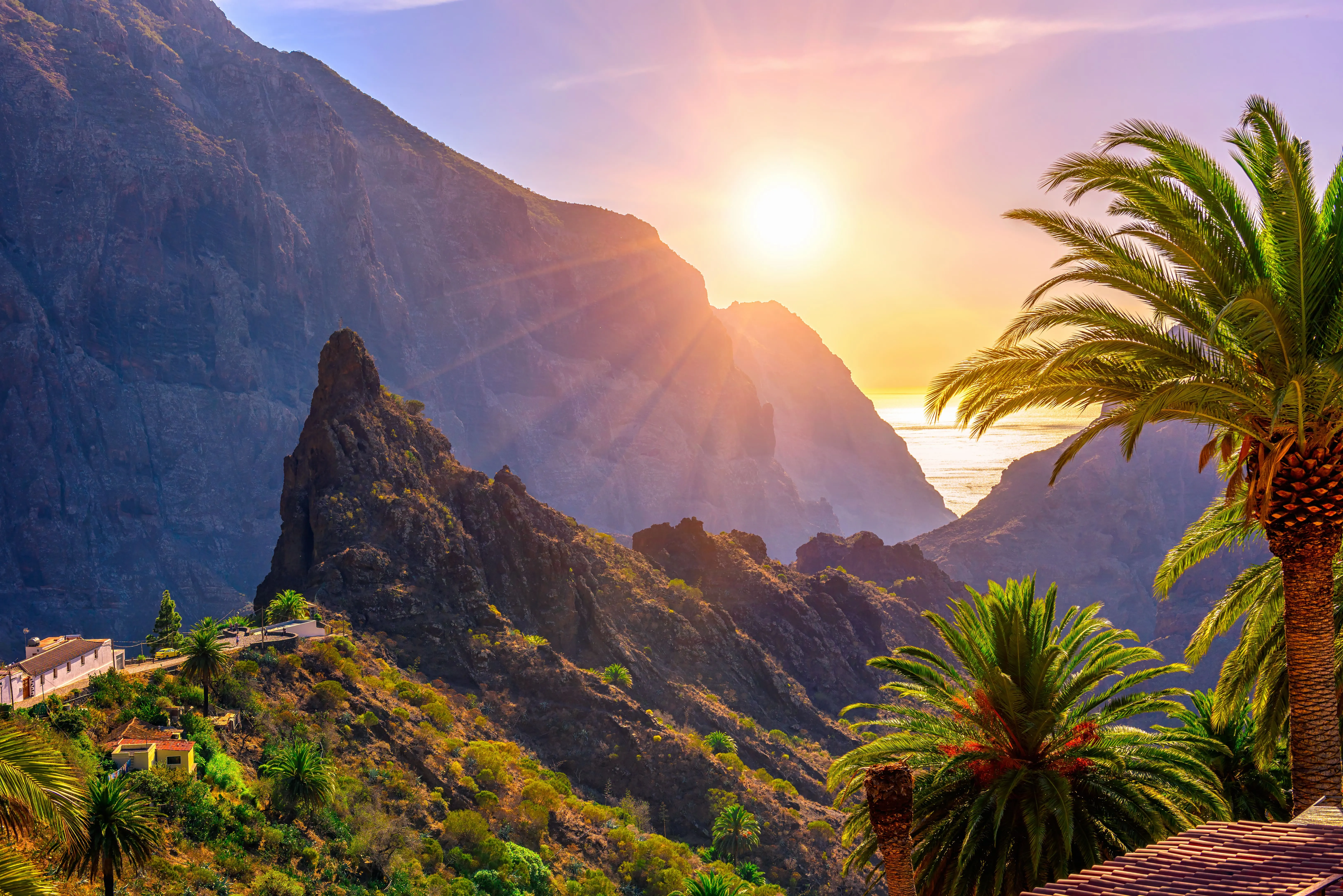 Canaries paysages : Tenerife