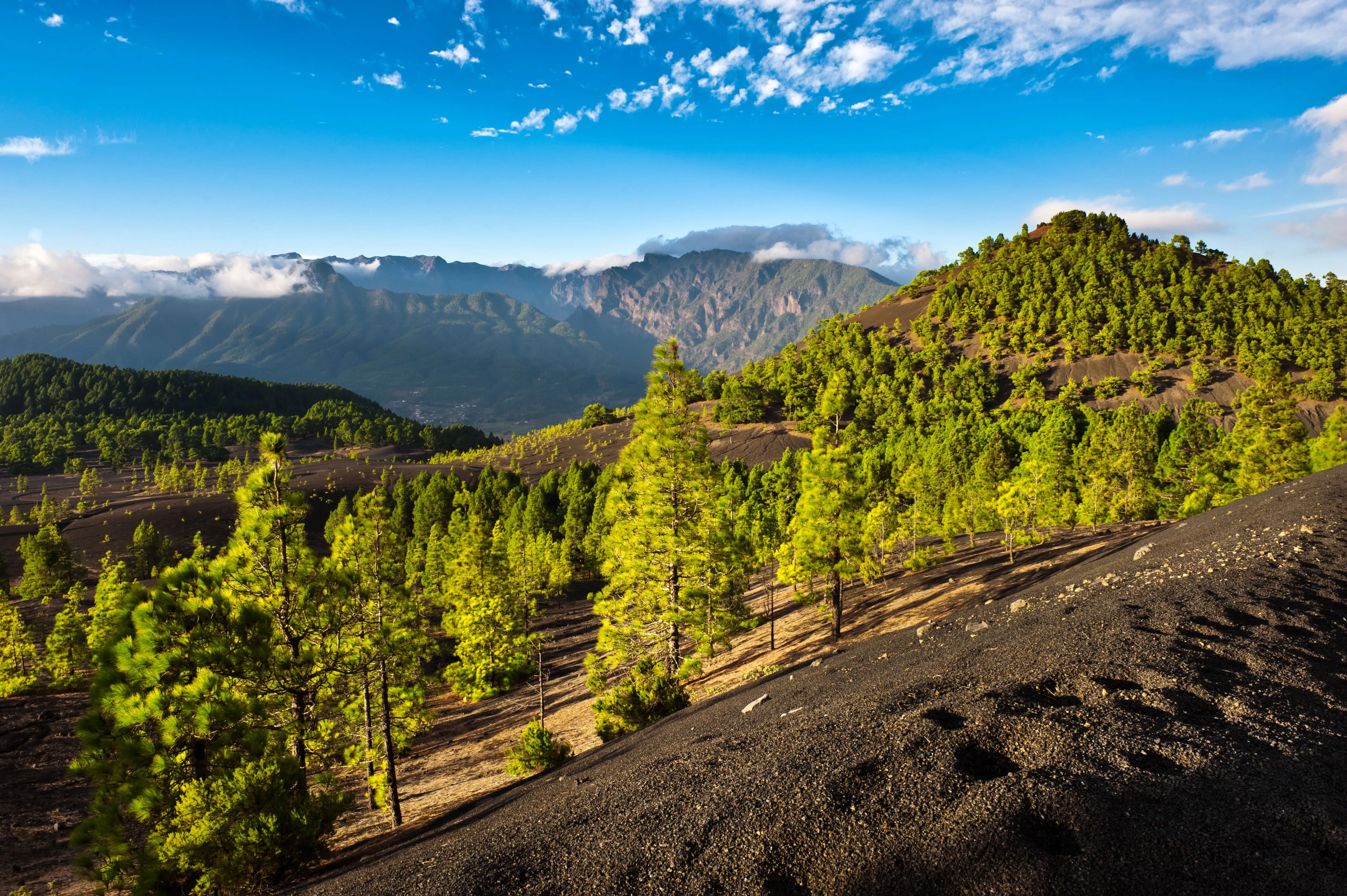 Canaries Paysages : La Palma