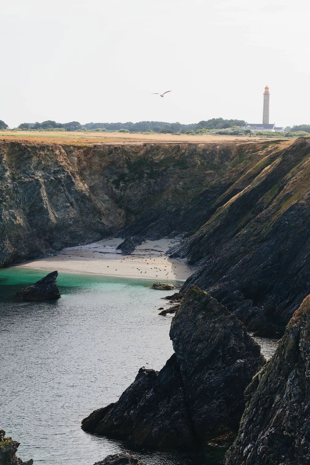 phare de Goulphar Belle-îl-en-mer au loin et plage