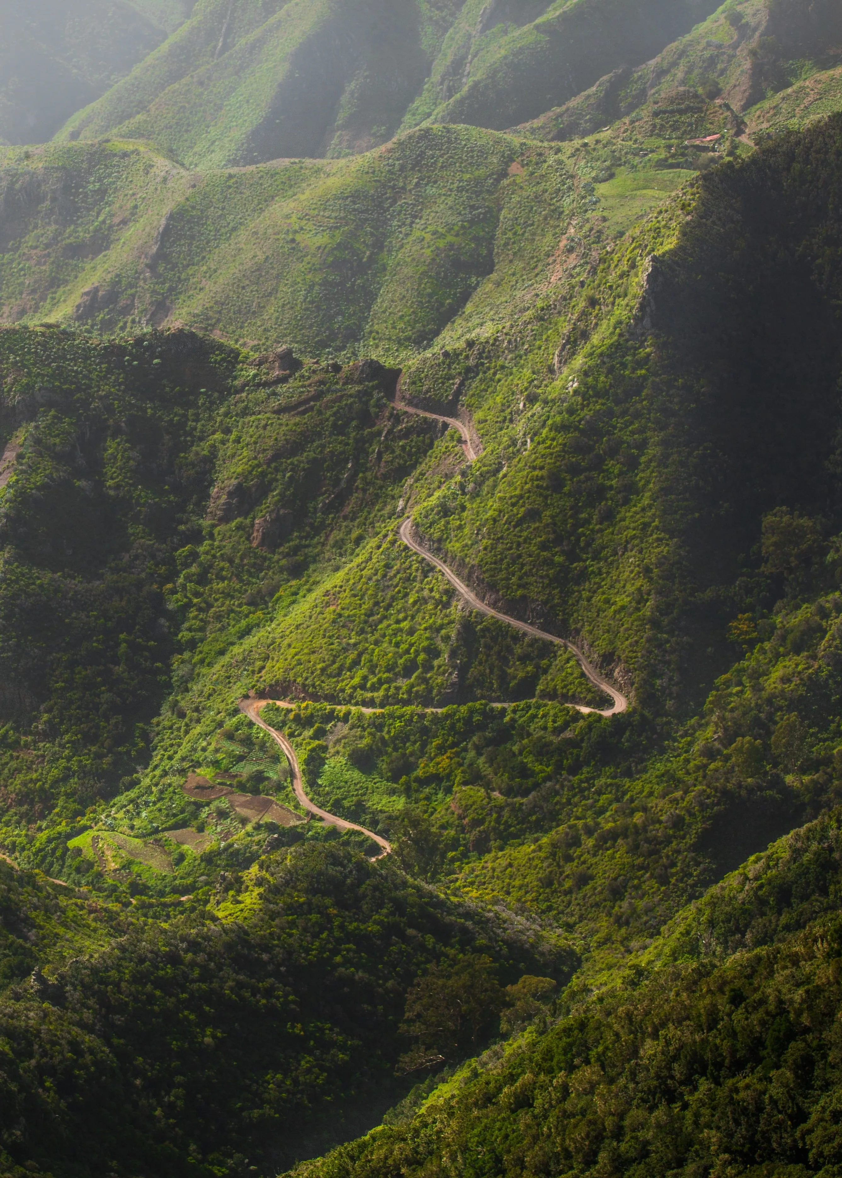 Randonnée à Tenerife