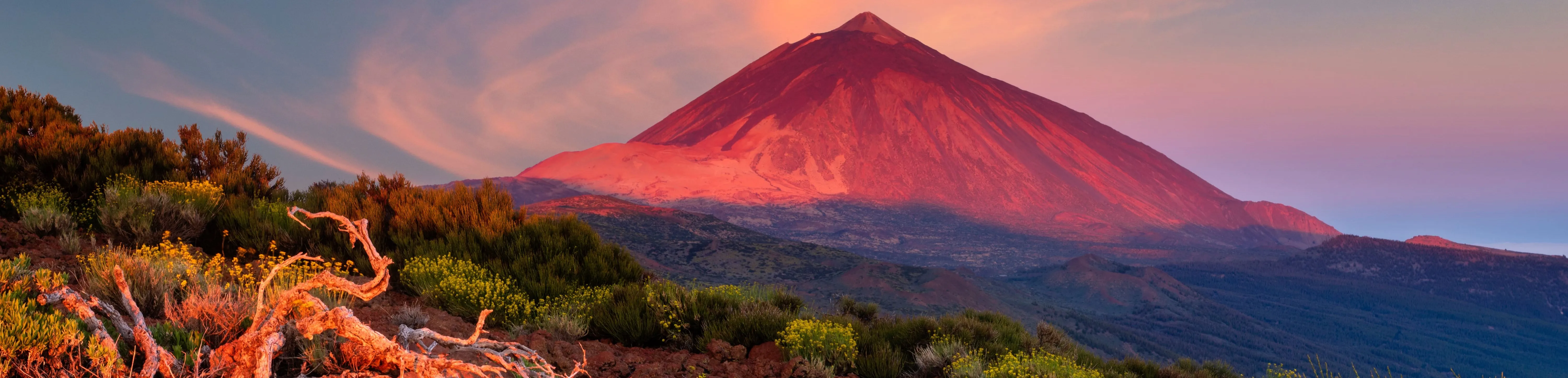 Parc National du Teide à Tenerife