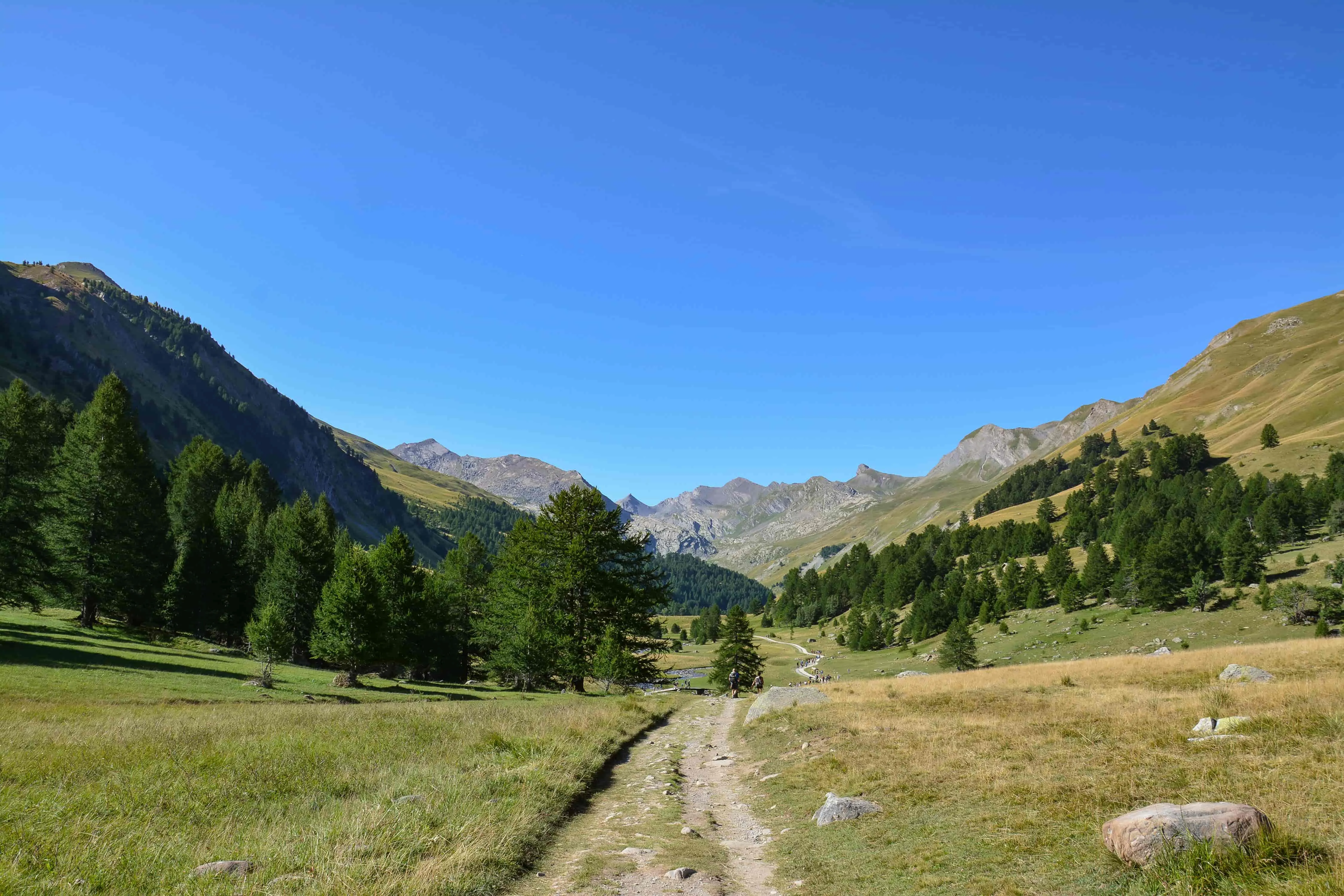 Le Vallon de Lauzanier