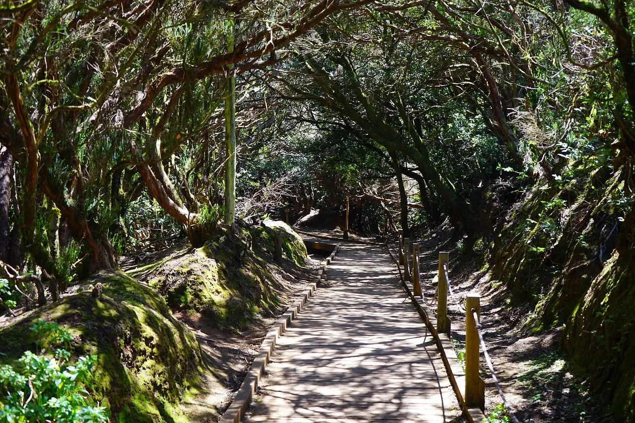 Chemin dans le massif d'Anaga