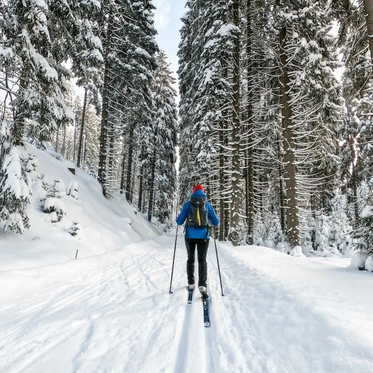 Ski de fond