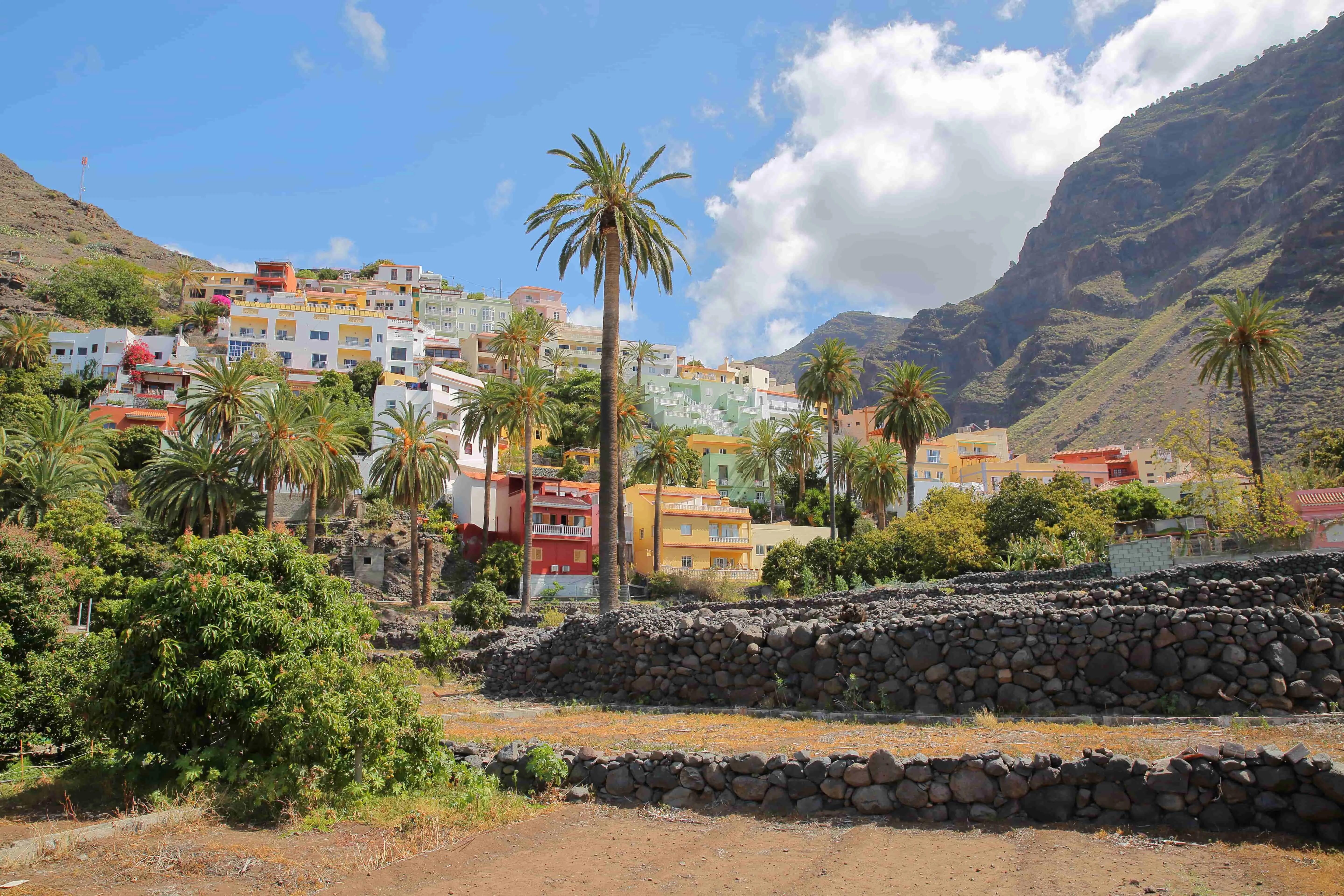 Canaries Paysages : la Valle Gran Rey