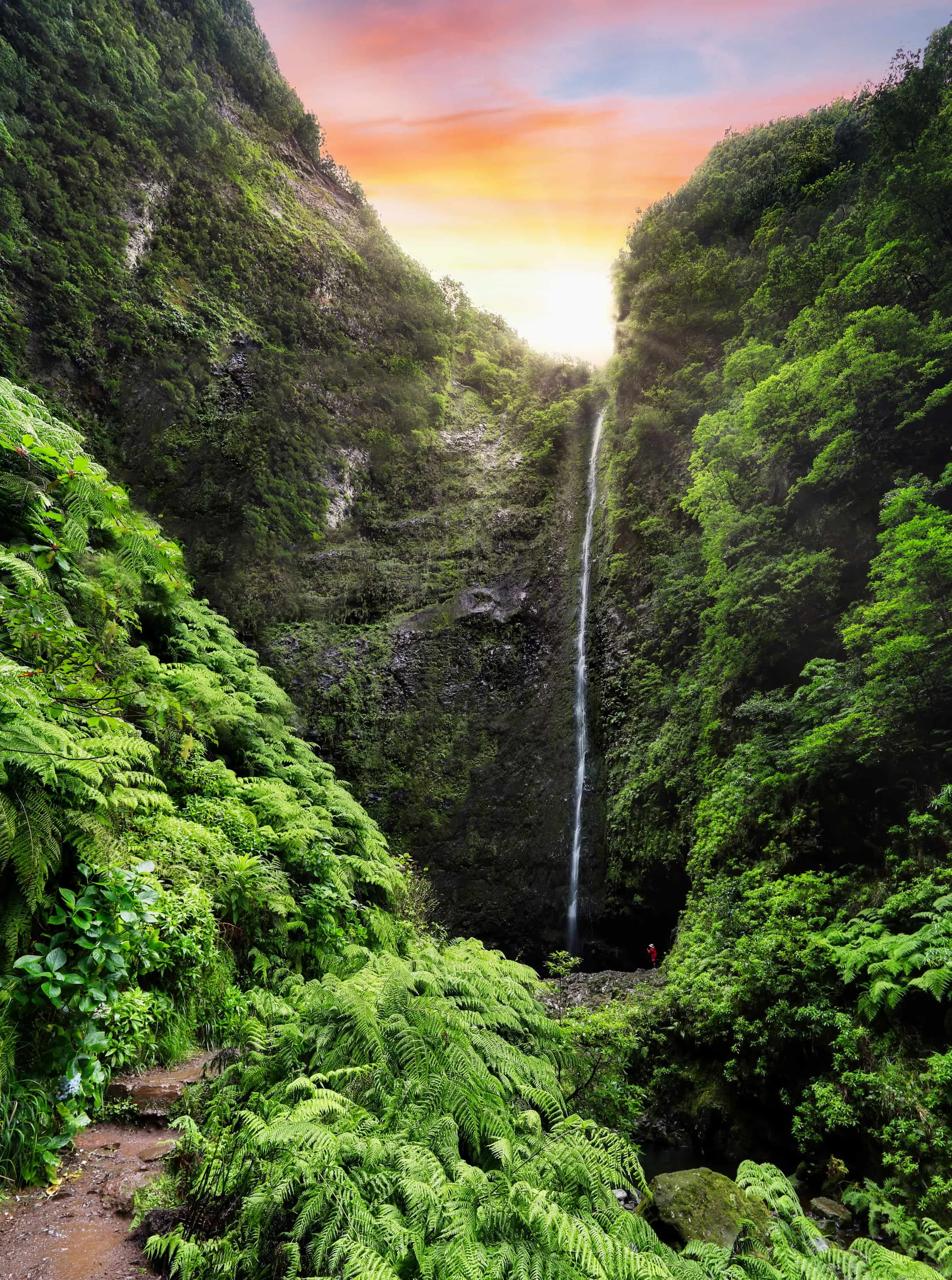Madère randonnées : dans la levada do Caldeirão Verde