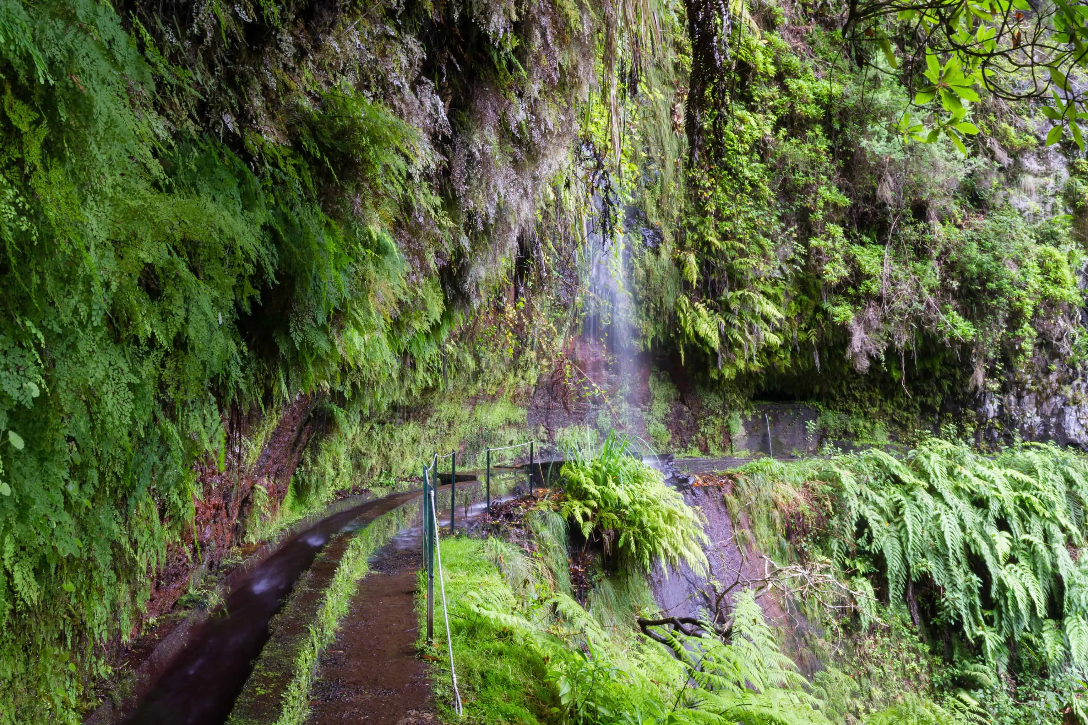 Madère randonnées : Randonnée dans la levada do Rei