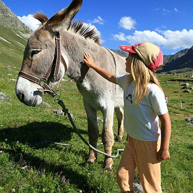 Dolomites