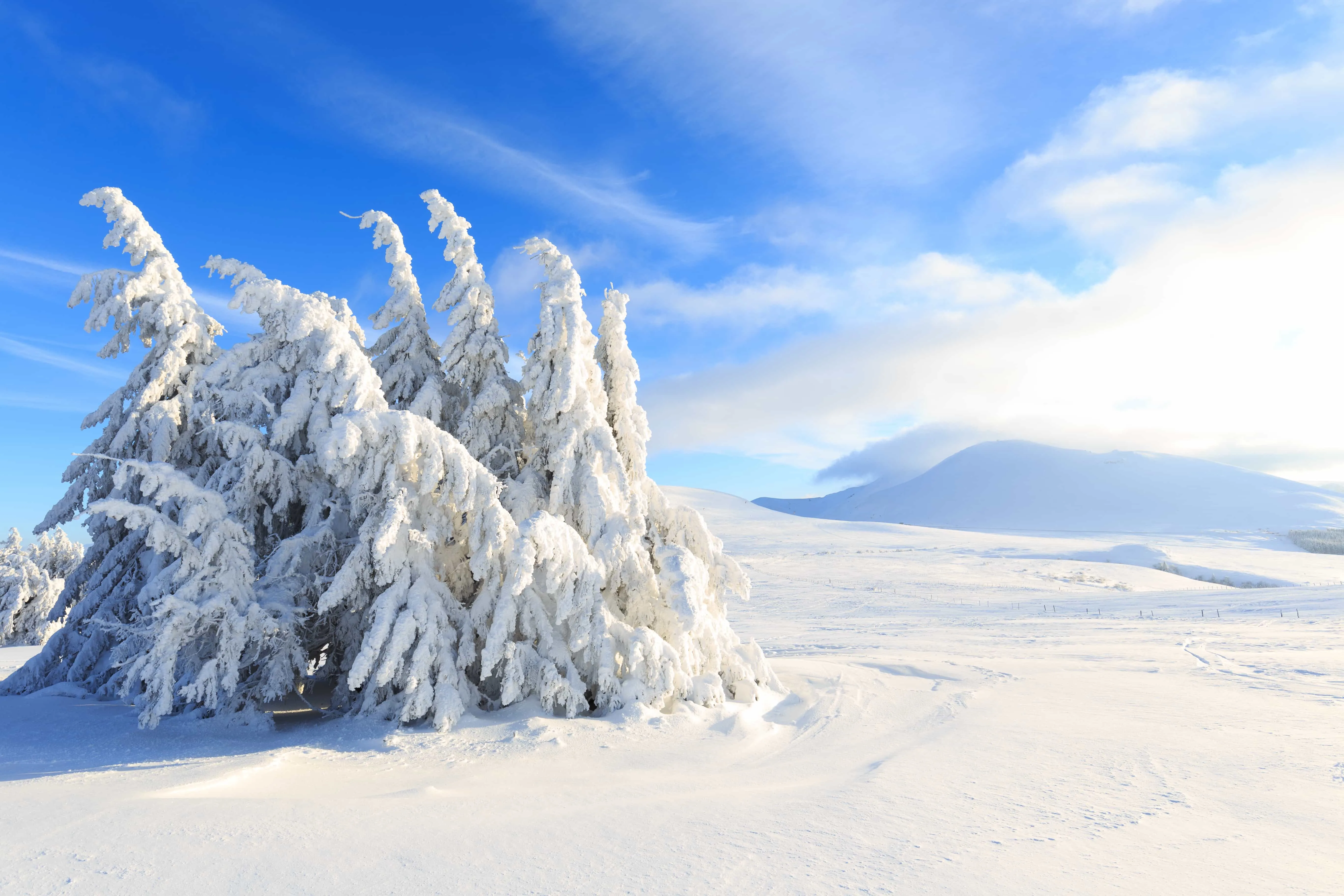 Montagnes du Massif Central : volcans d'Auvergne en hiver