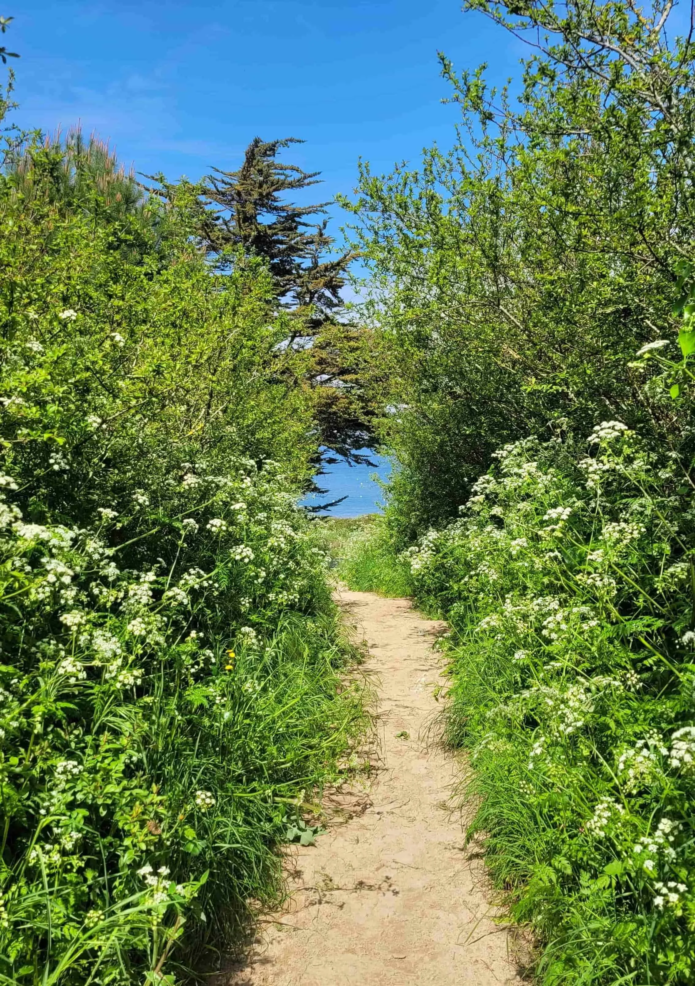 GR34 Côte d'Émeraude