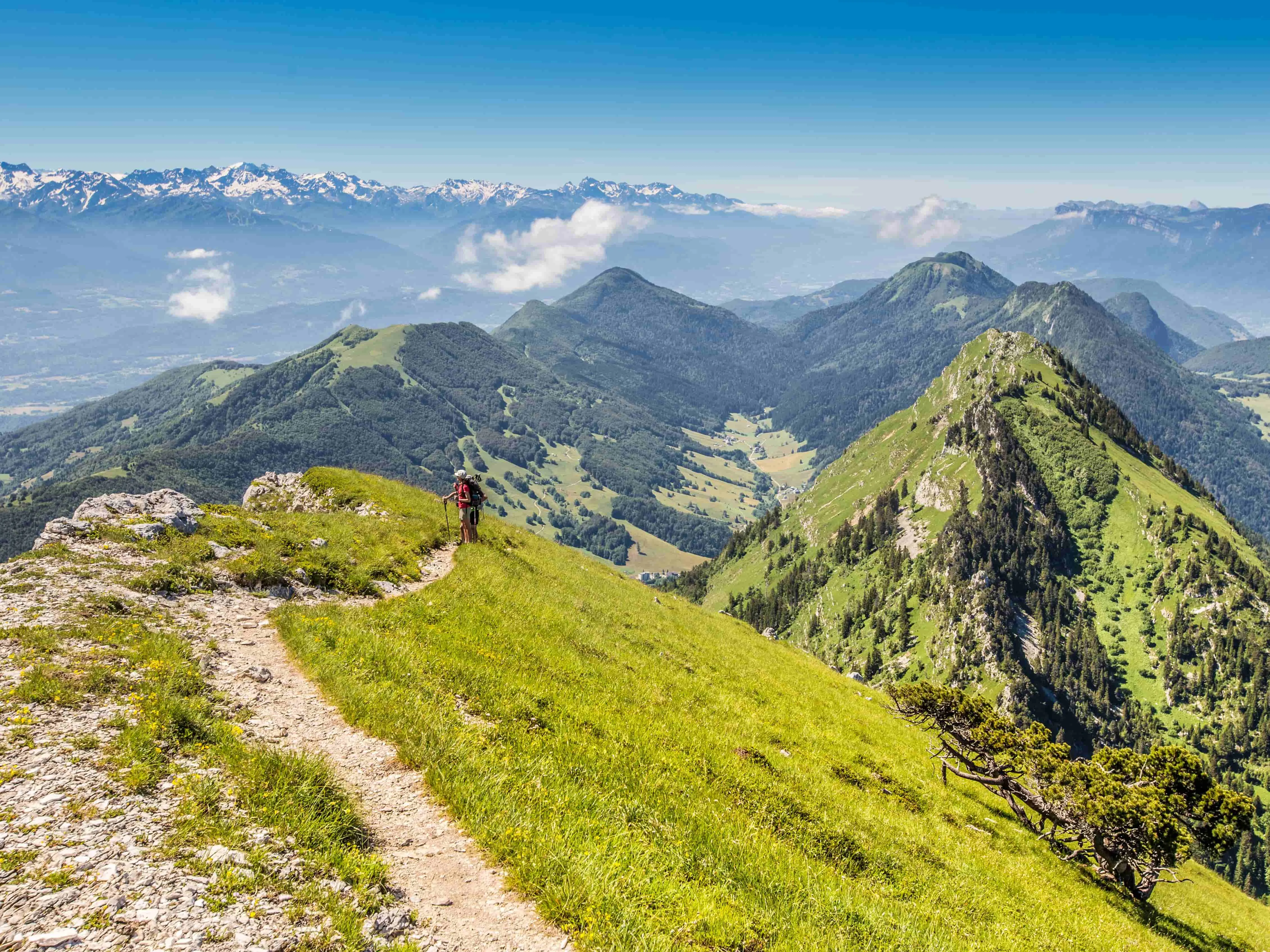 Massif des Bauges : mont colombier
