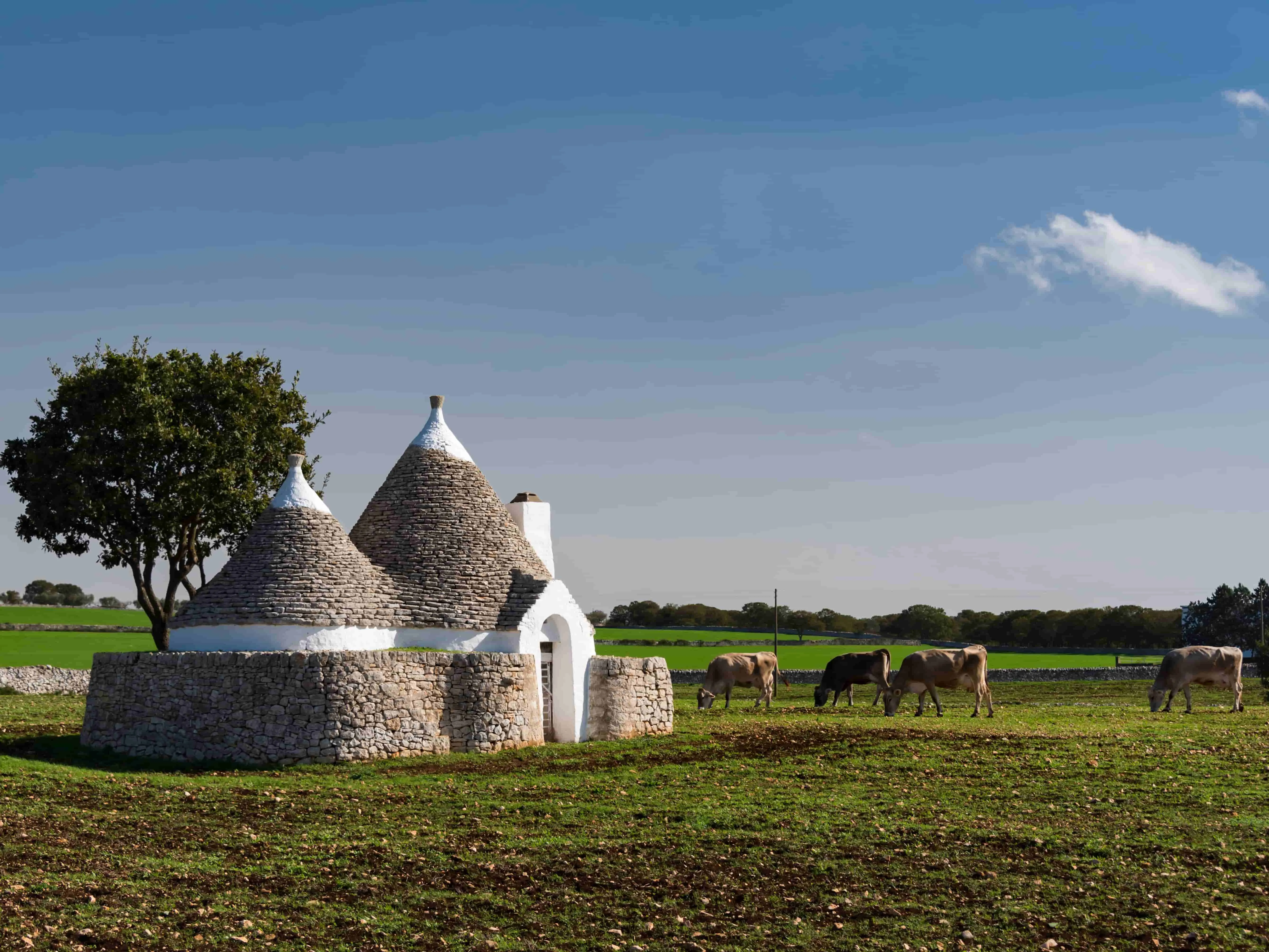 Alberobello trulli
