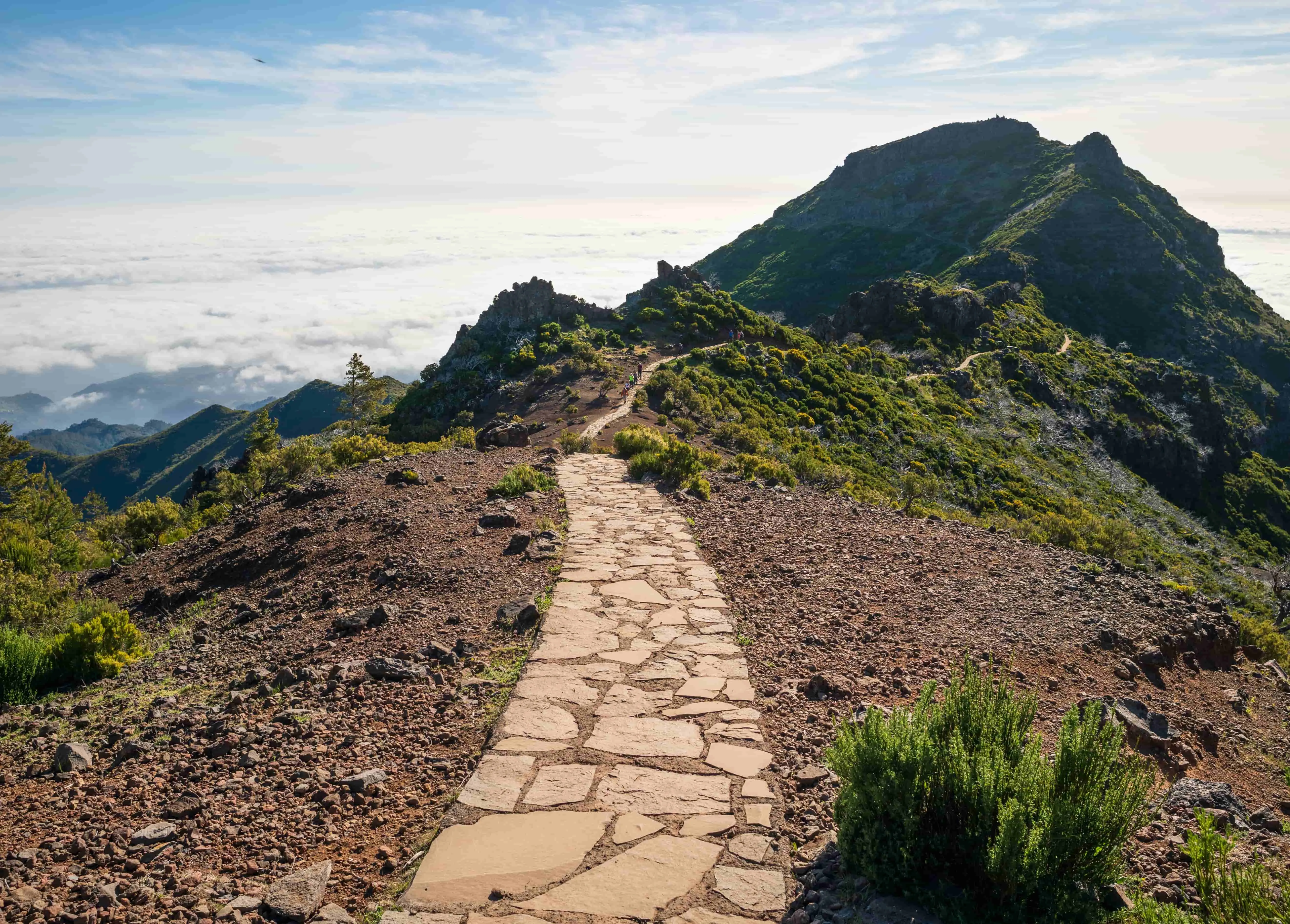 Chemin depuis Achada do Teixeira Pico Ruivo : Achada do Teixeira