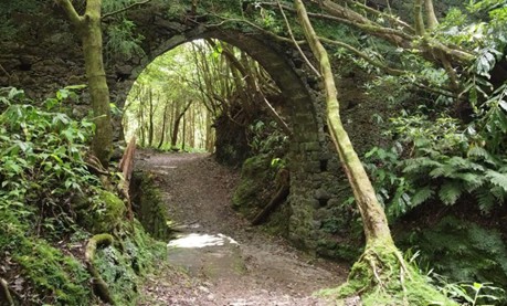 lac-sete-cicades-sao-miguel-acores