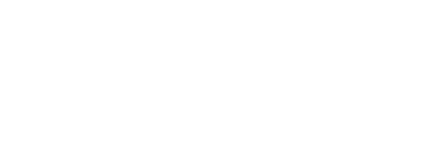 logo wanderly trips blanc footer