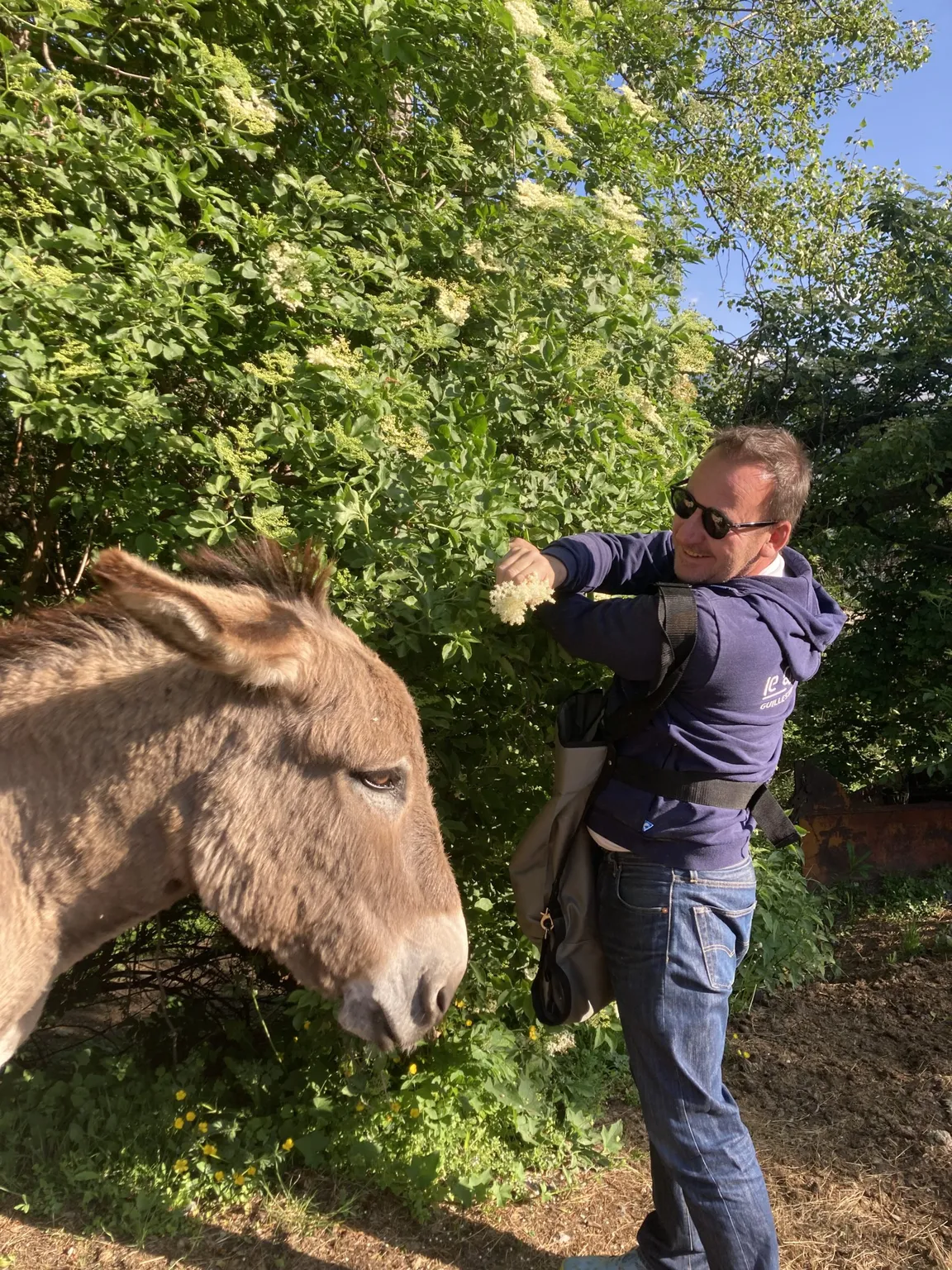 jean pierre labonde le plantivore