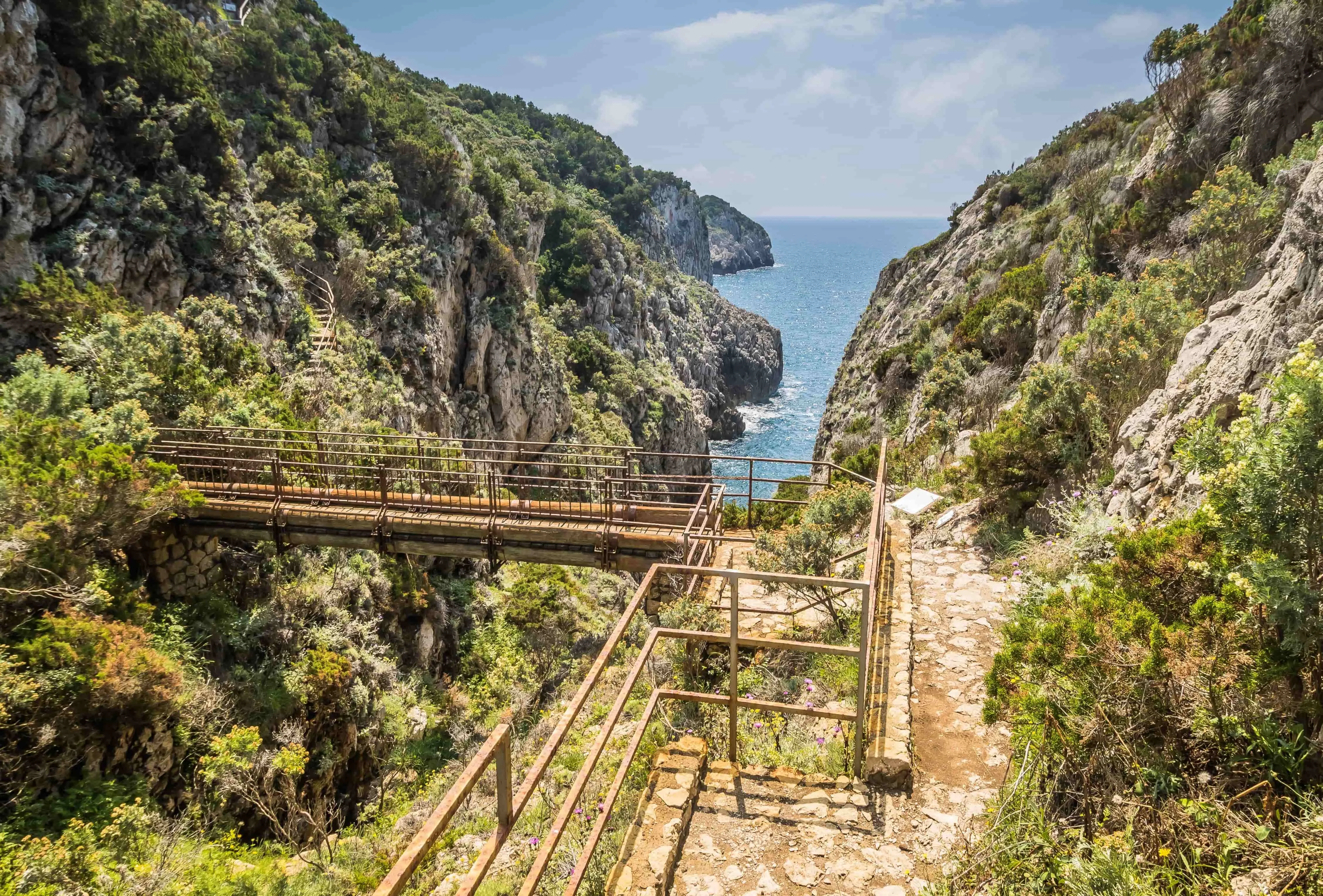 sentiero-dei-fortini-capri.webp