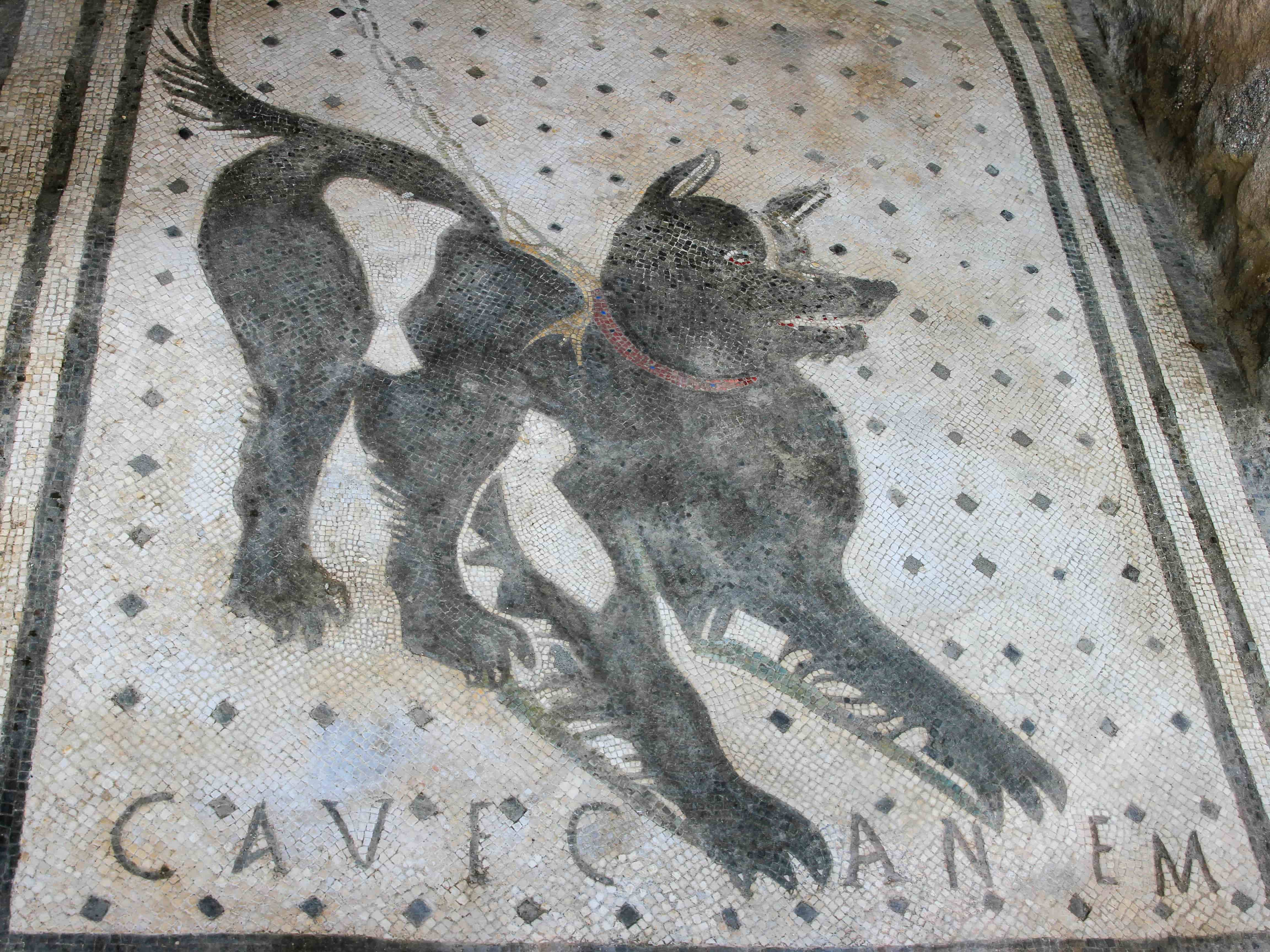 Visiter Pompei : la maison du poète tragique