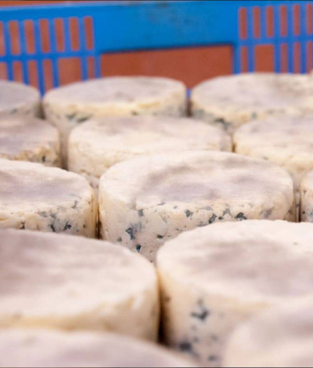 affinage bleu du queyras 