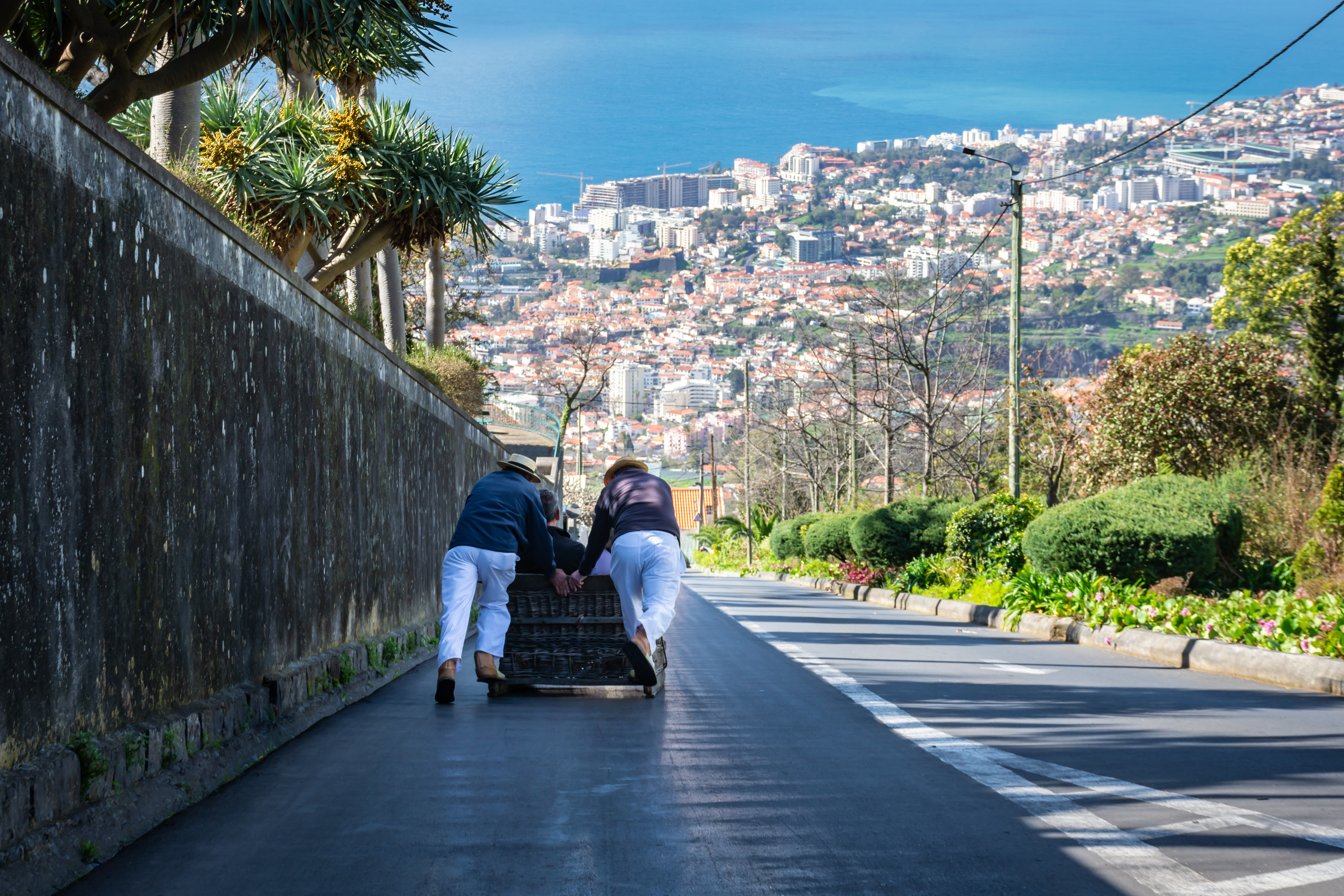 descente traineaux vannerie funchal