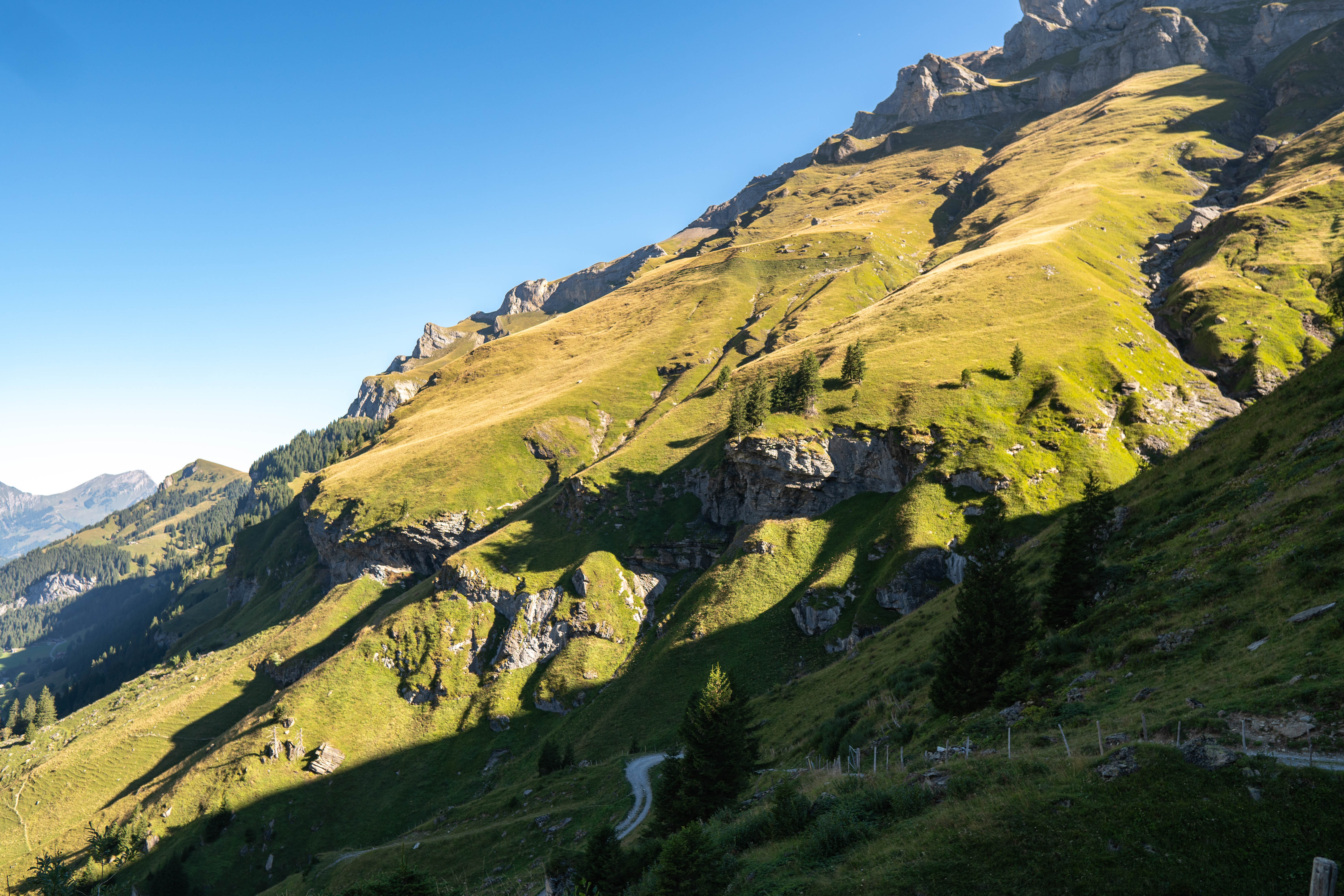 Vue de la vallée de Grinderwald randonnee-faulhornweg