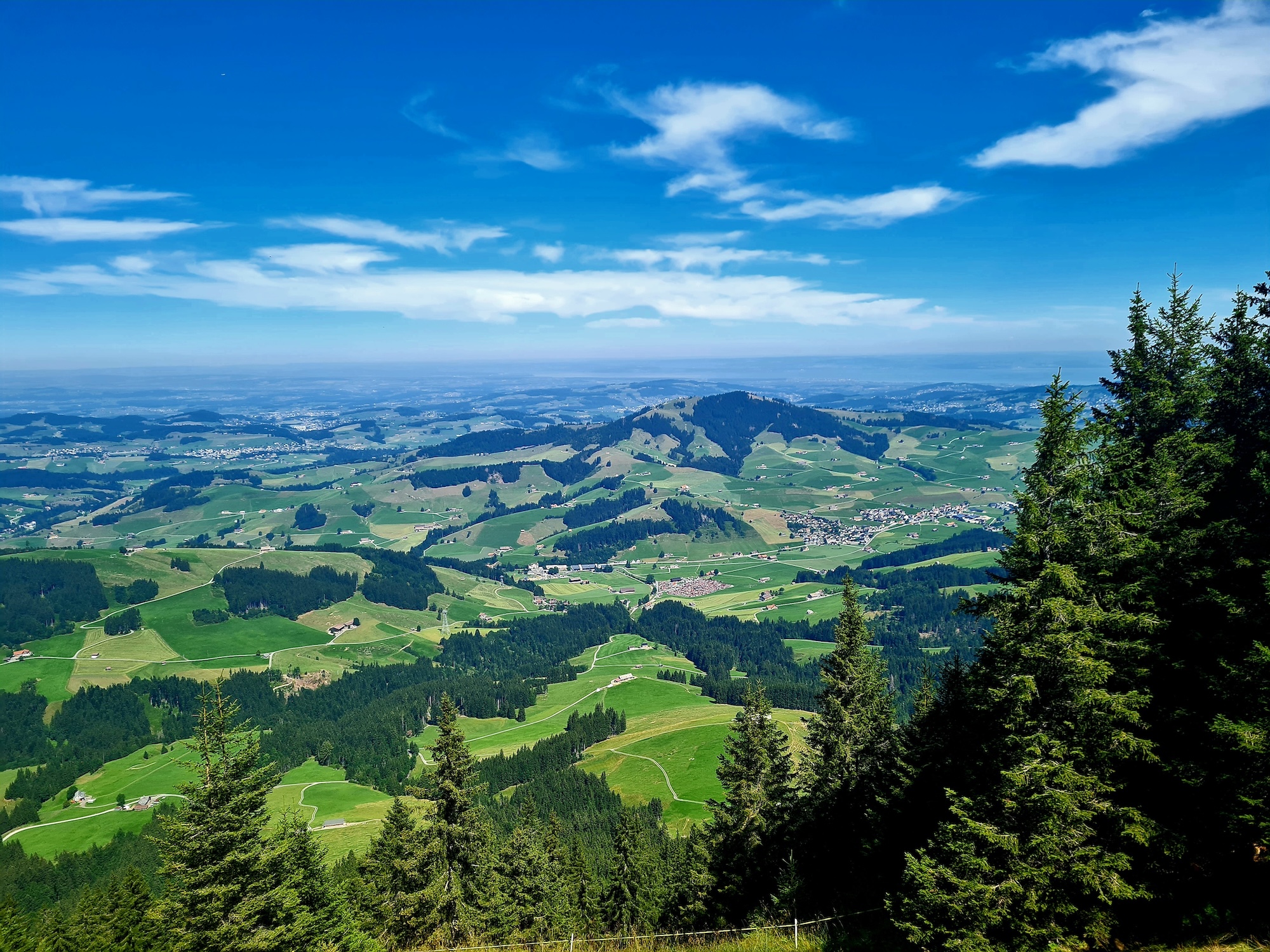 Vue sur la vallée d'Appenzell randonee-kronberg-appenzell