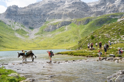 tour du queyras avec un ane en famille