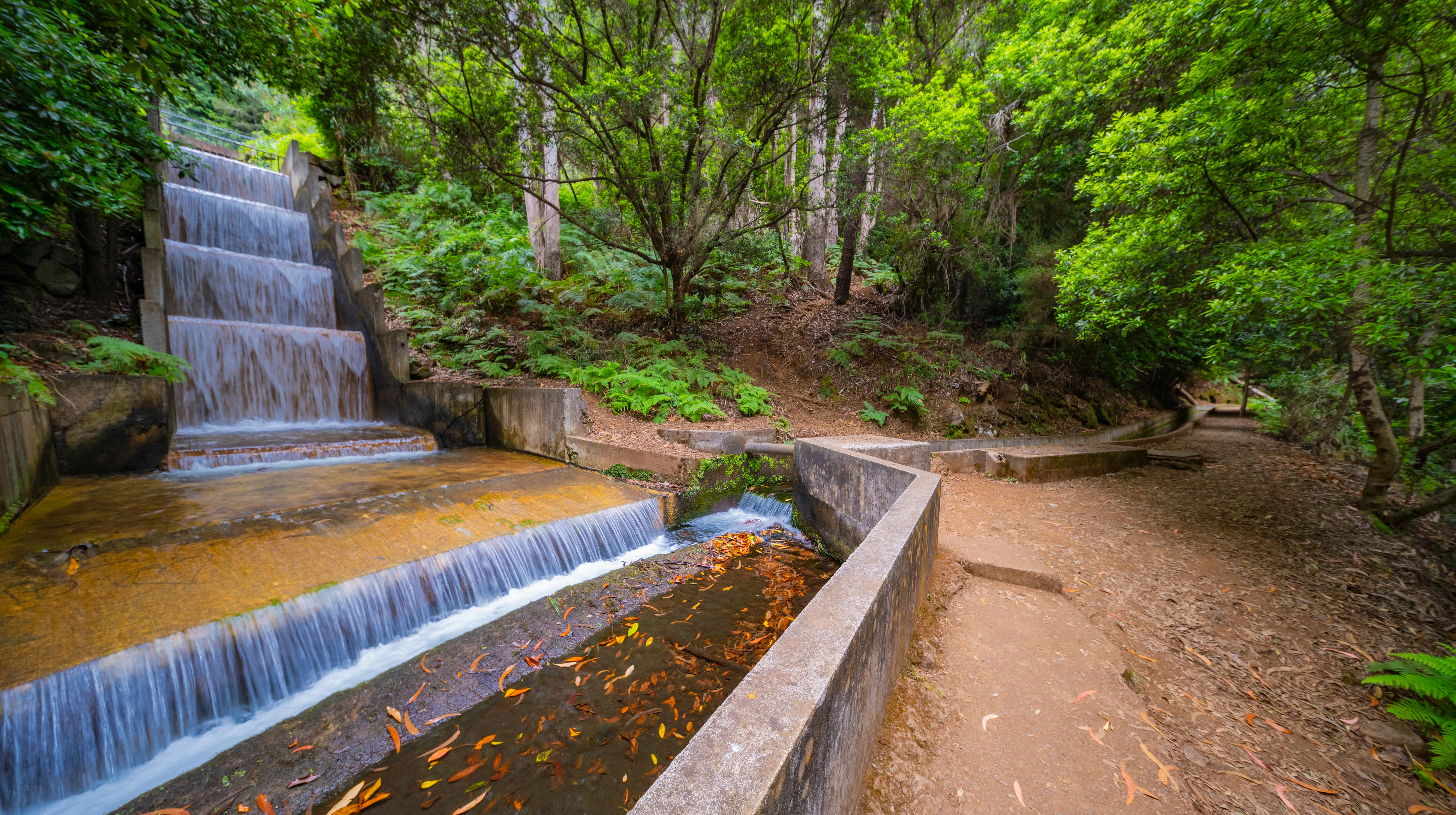 Levada dos Cedros levada-dos-cedros
