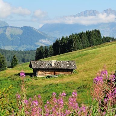 Séjours au chalet de La Vie Sauvage