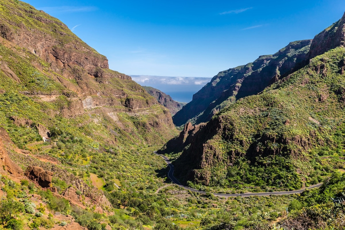 Canyon de guayadeque canyon de guayadeque nublo depuis la culata gran canaria iles canaries