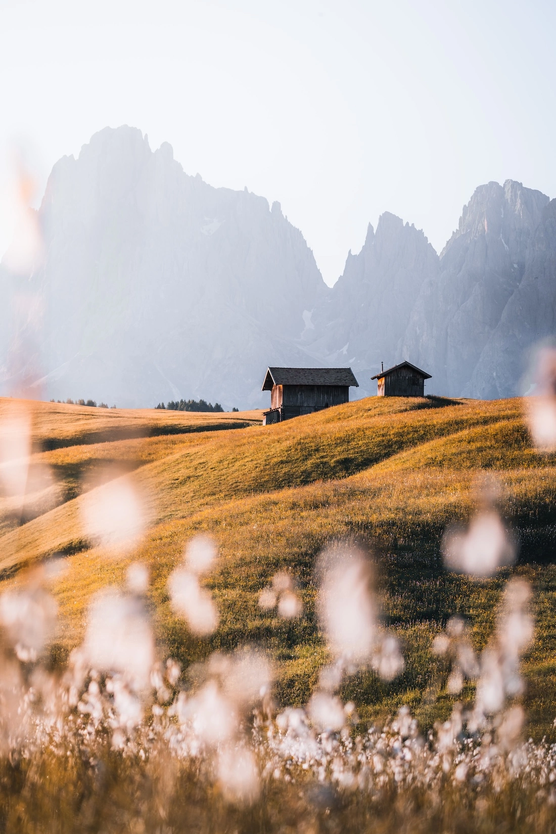 coucher de soliel prairie dolomites