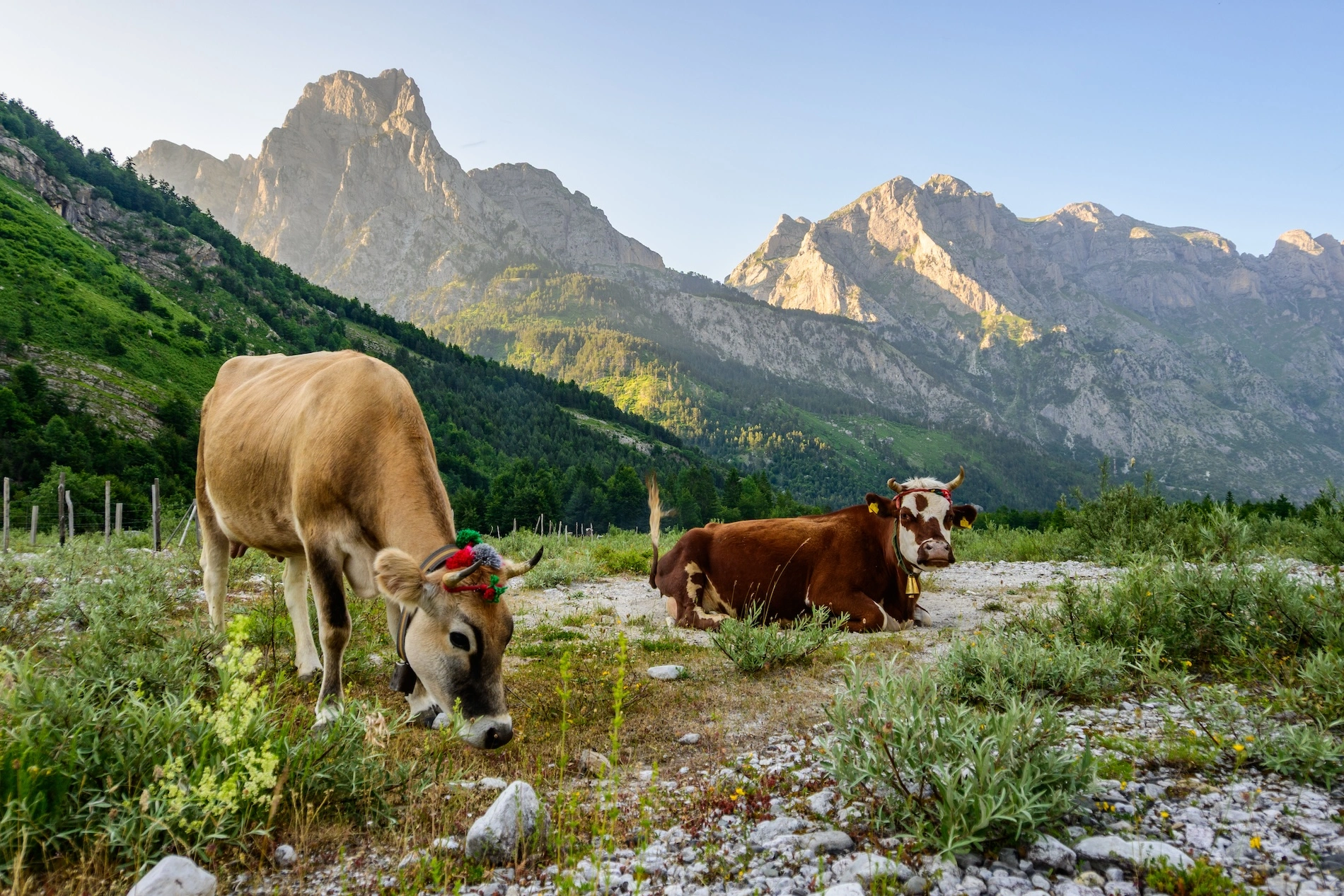 vahces vallée de valbona albanie balkans