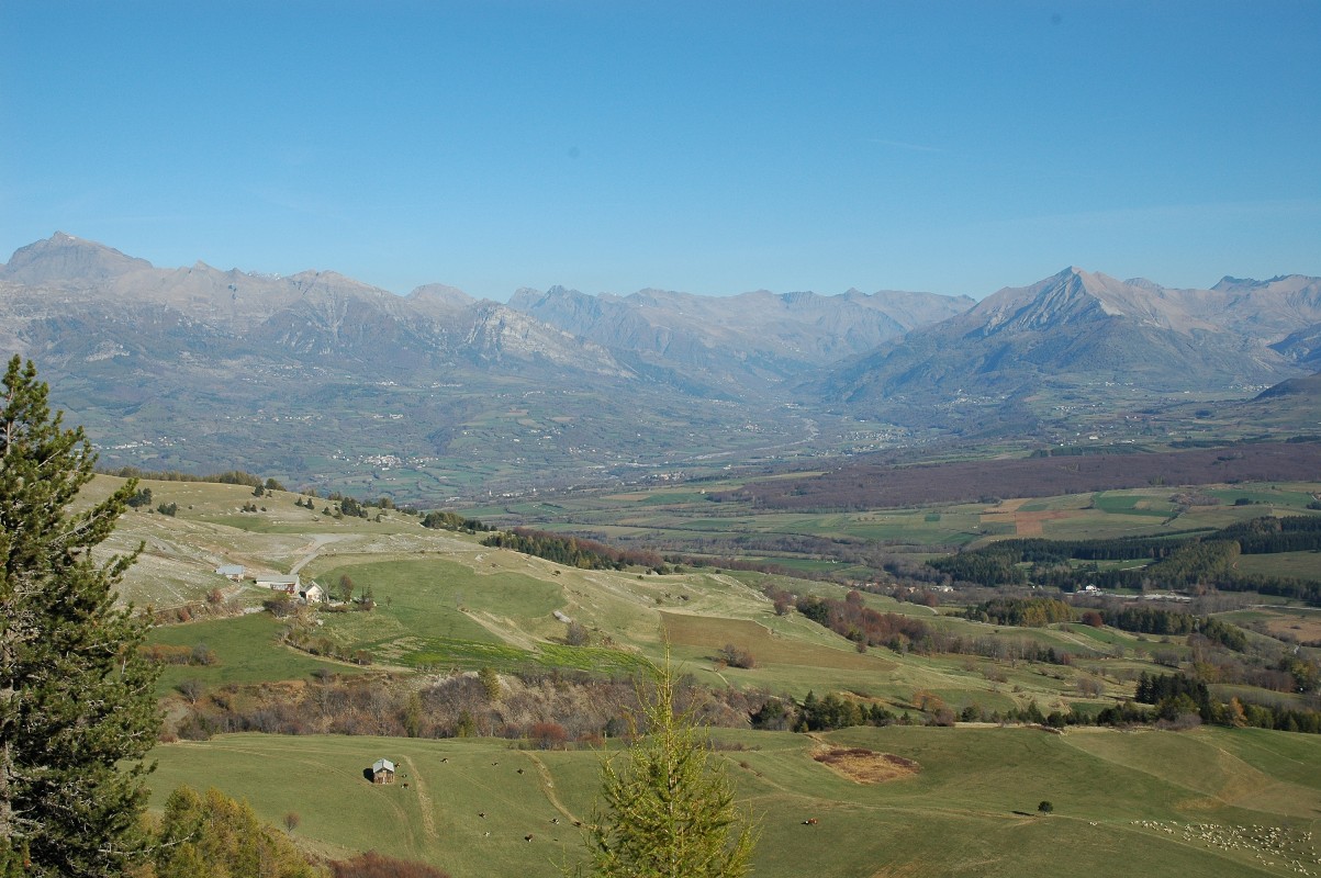 Champsaur