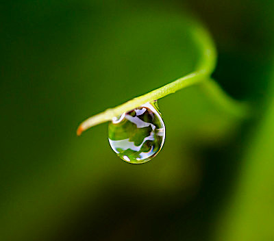 Agence de randonnée avec engagement social et environnemental