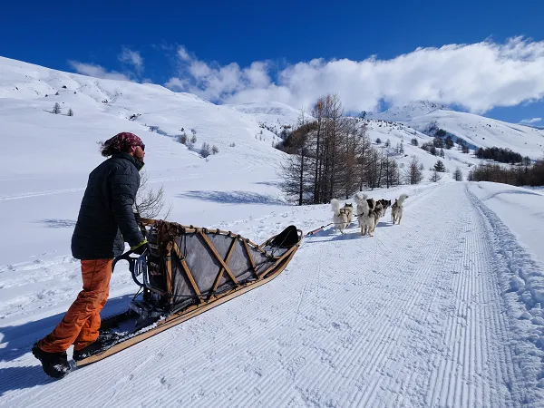 sejour chien de traineau alpes
