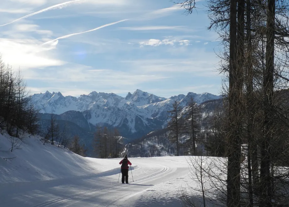 ski fond