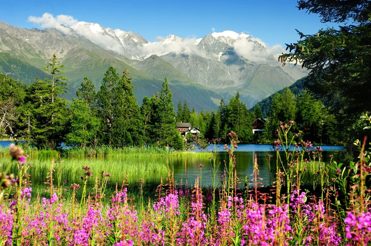champex