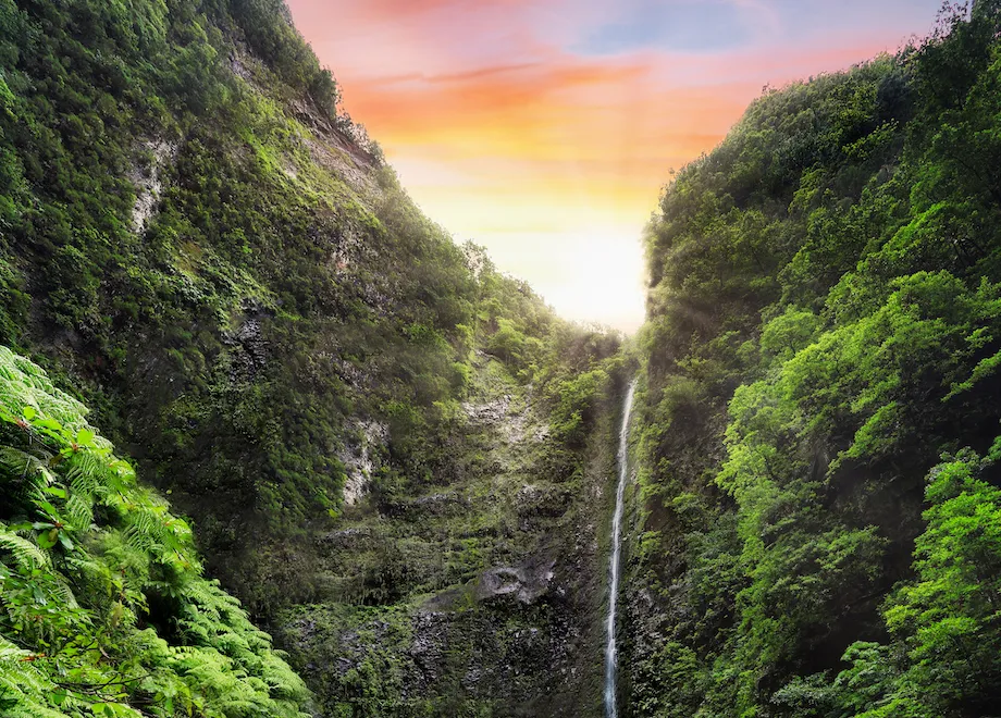 hiking path with forest in levada do caldeirao verde waterfall trail tropical scenery on madeira island santana portugal