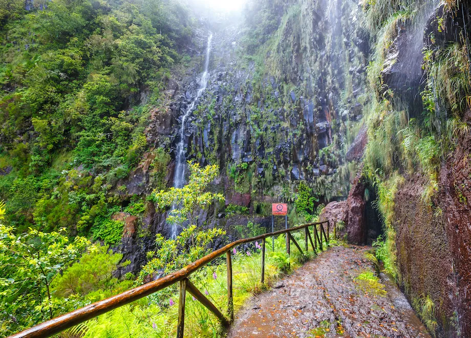 laurel forest lewada das 25 fontes and lewada do risco madeira island portugal