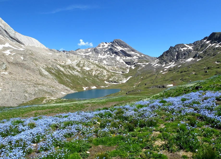 lac foreant dans le queyras alpes du sud
