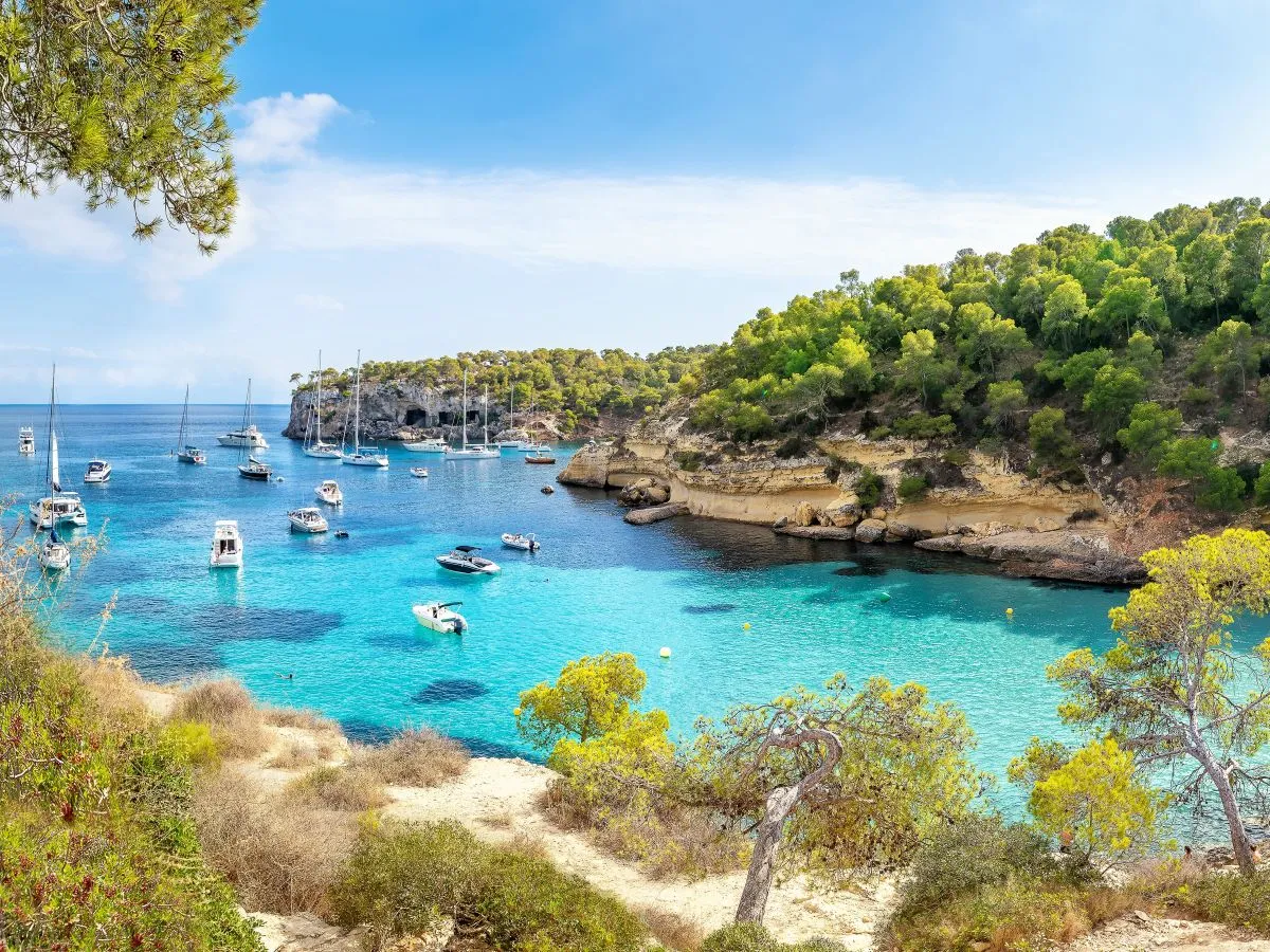 coastline of mallorca
