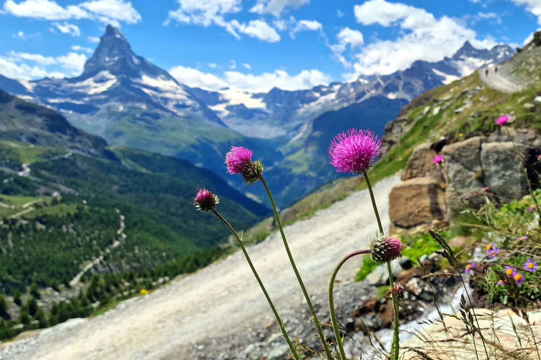 chamonix zermatt