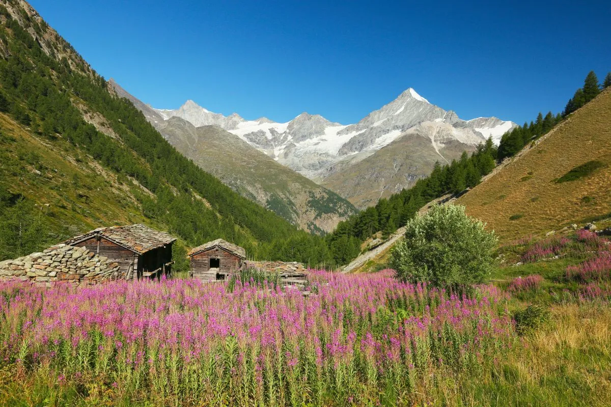 view of the alpine farm and weisshorn switzerlandcouverture
