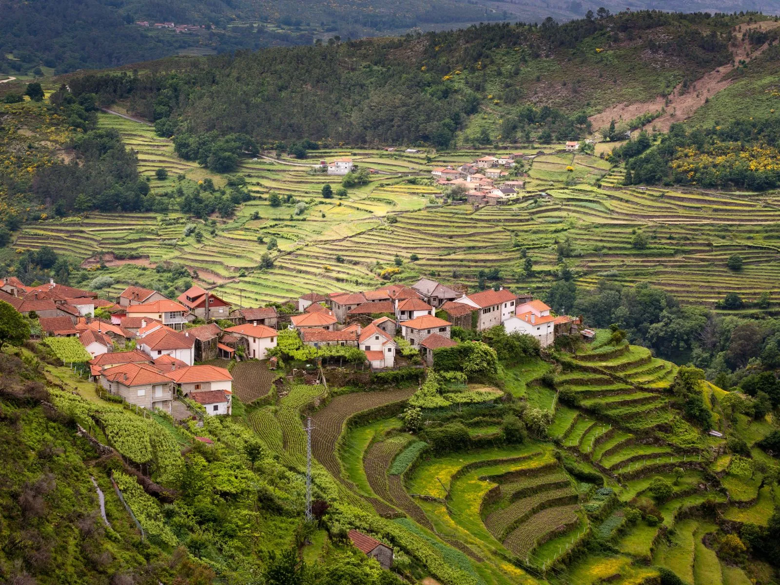 panorama sistelo